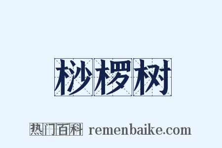 桫椤树是什么意思的图片